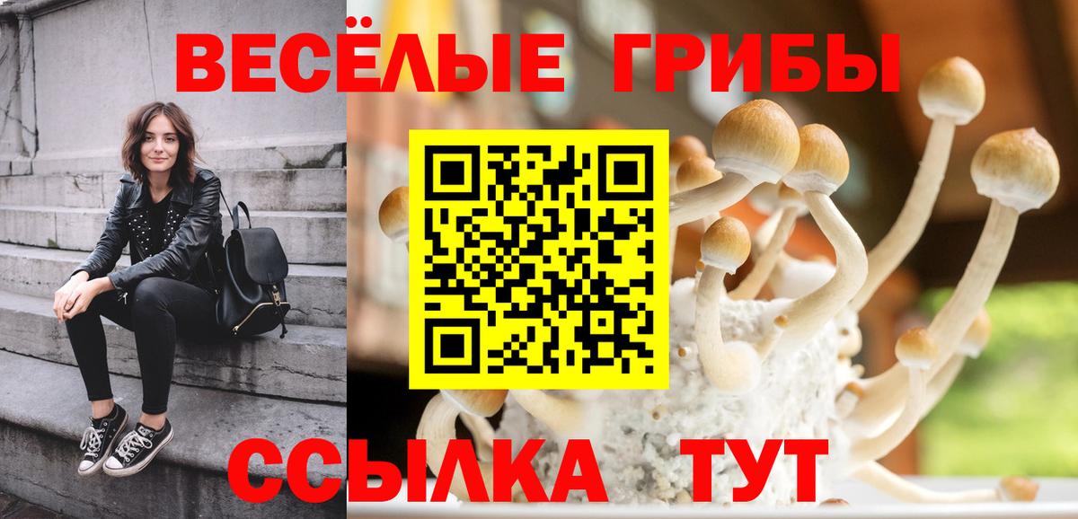 Галлюциногенные грибы прущие грибы Минеральные Воды